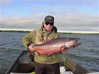 Alaska King Salmon Picture